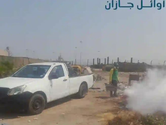 التخلص من السحالي