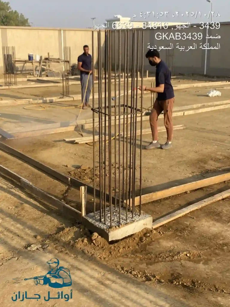 مكافحة البق