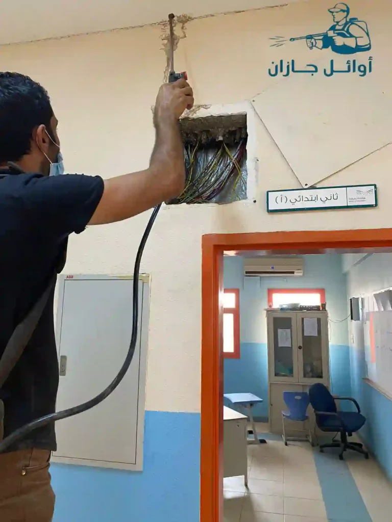 القضاء على حشرة العتة