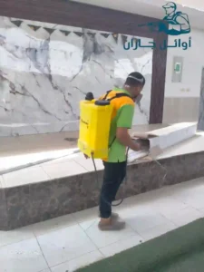 مكافحة البق