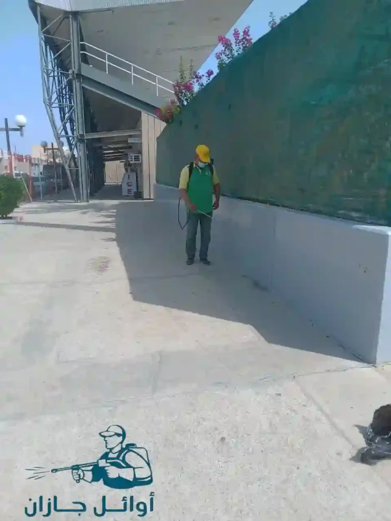 شركة لفتل الفئران