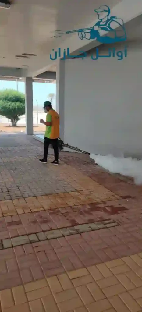 مكافحة العتة