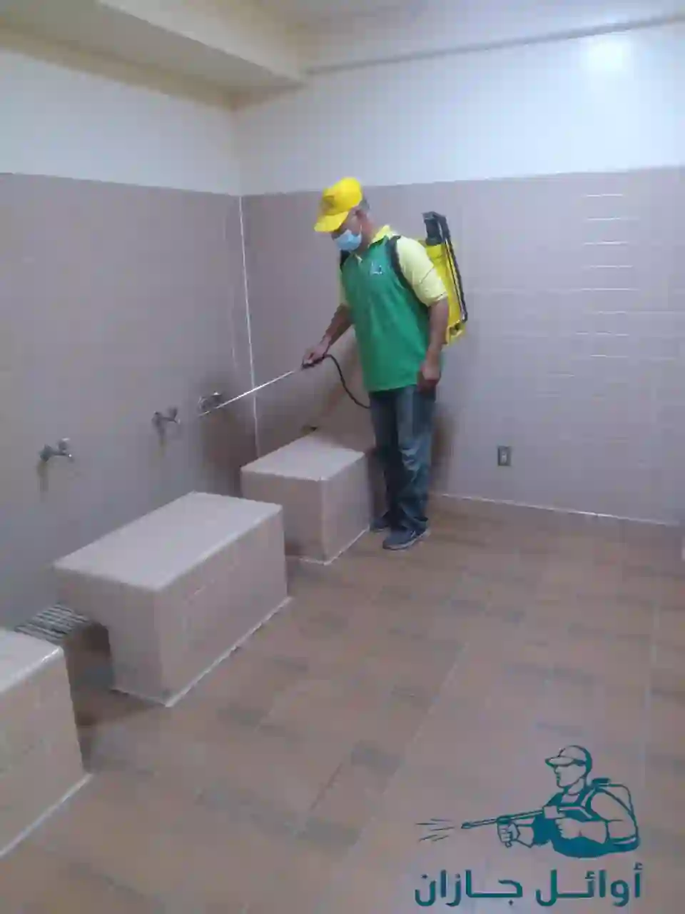 ابادة الحشرات