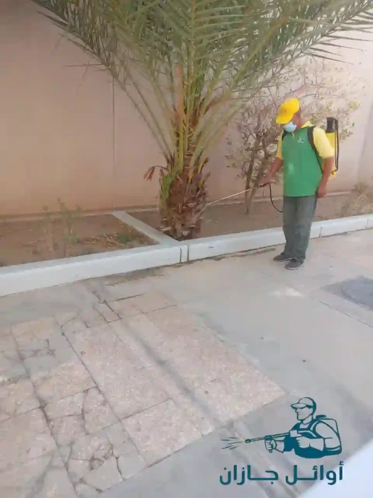 مكافحة حشرات