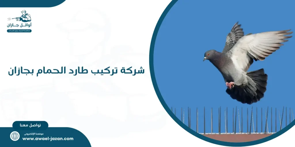 شركة تركيب طارد الحمام بجازان