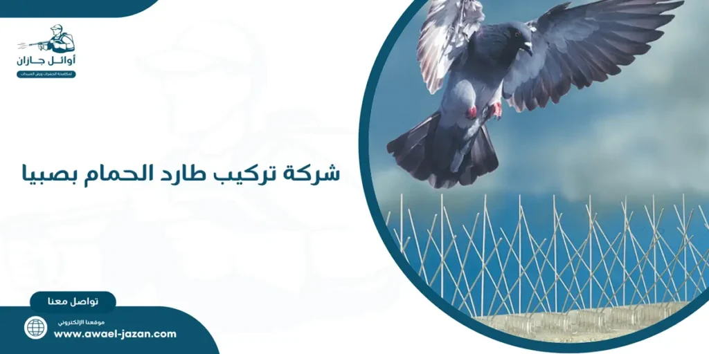 شركة تركيب طارد الحمام بصبيا