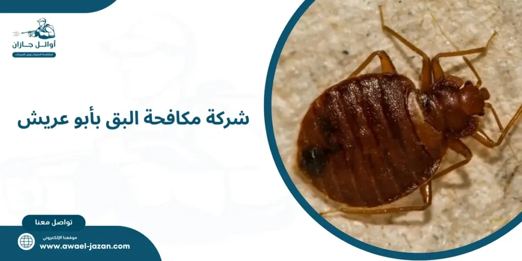 شركة مكافحة البق بأبو عريش