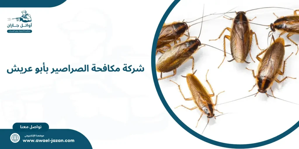 شركة مكافحة الصراصير بأبو عريش