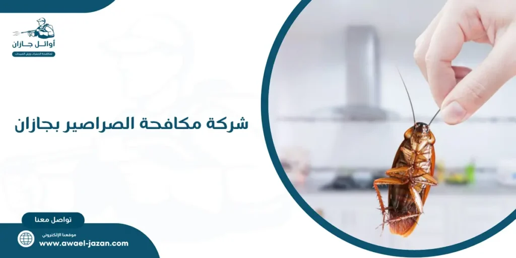 شركة مكافحة الصراصير بجازان