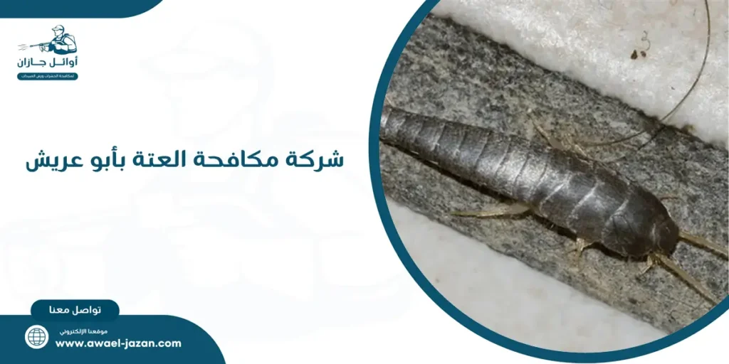 شركة مكافحة العتة بأبو عريش