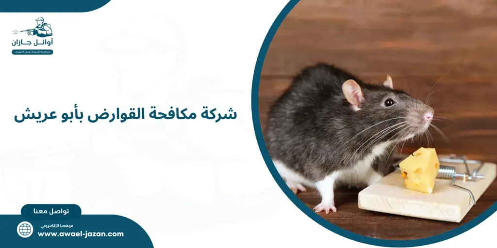 شركة مكافحة القوارض بأبو عريش