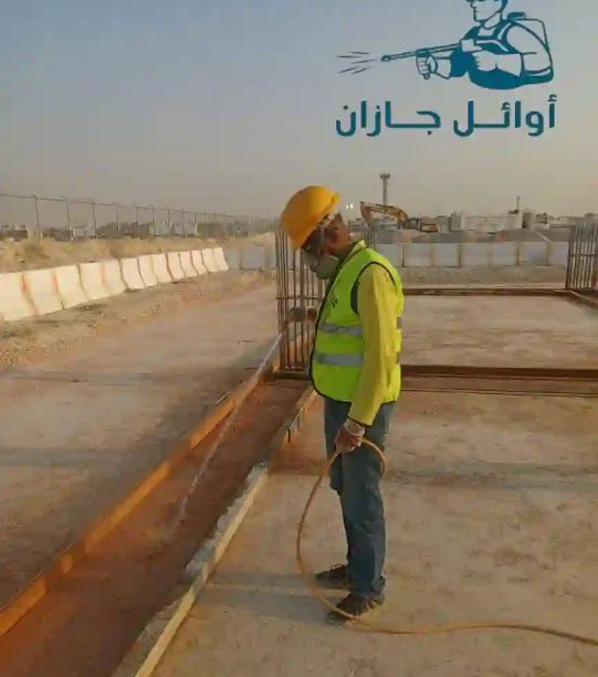 التخلص من السحالي