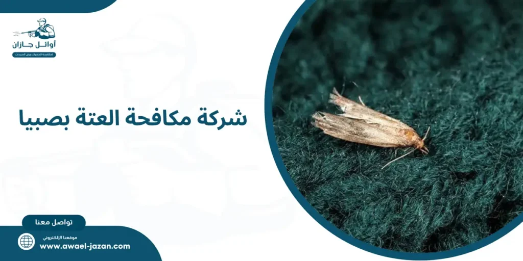 شركة مكافحة العتة بصبيا