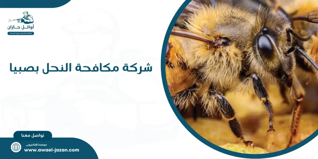 شركة مكافحة النحل بصبيا