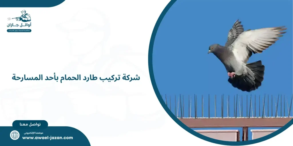 شركة تركيب طارد الحمام بأحد المسارحة