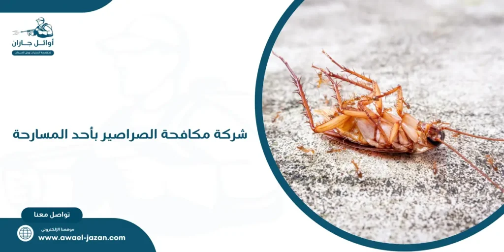 شركة مكافحة الصراصير بأحد المسارحة